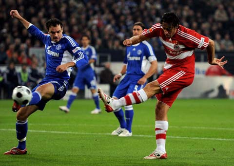 似乎已经成 似乎已经成